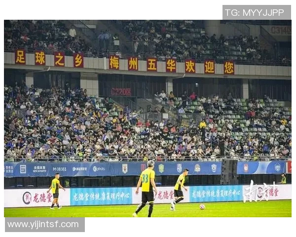 南湖足球明星阵容全景展示及精彩瞬间回顾