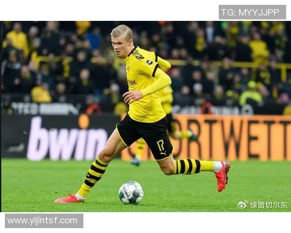 德哈兰德：足球场上的新星与未来之星的崛起之路